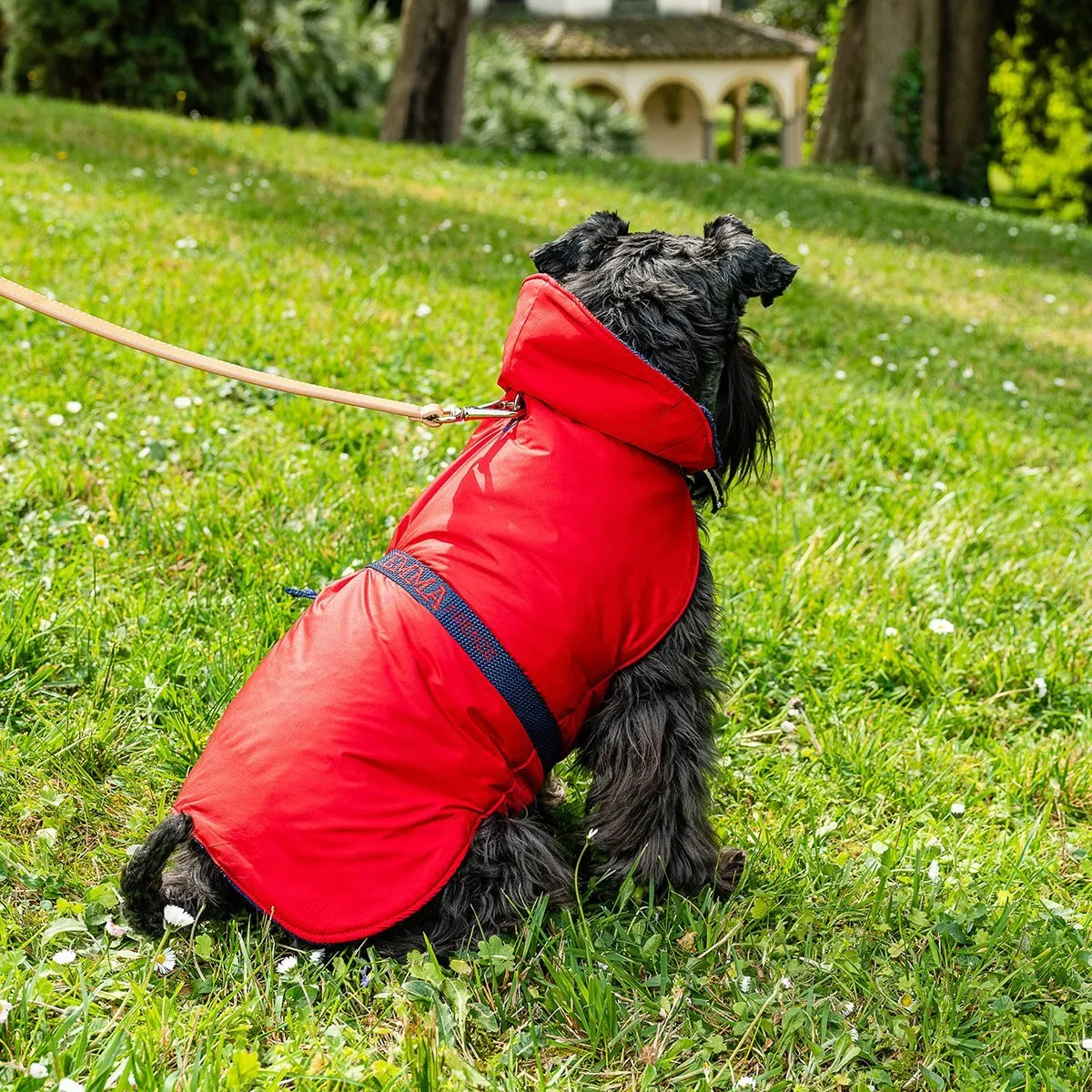 Bespoke Dog Raincoat Red/Blue Terry Cotton