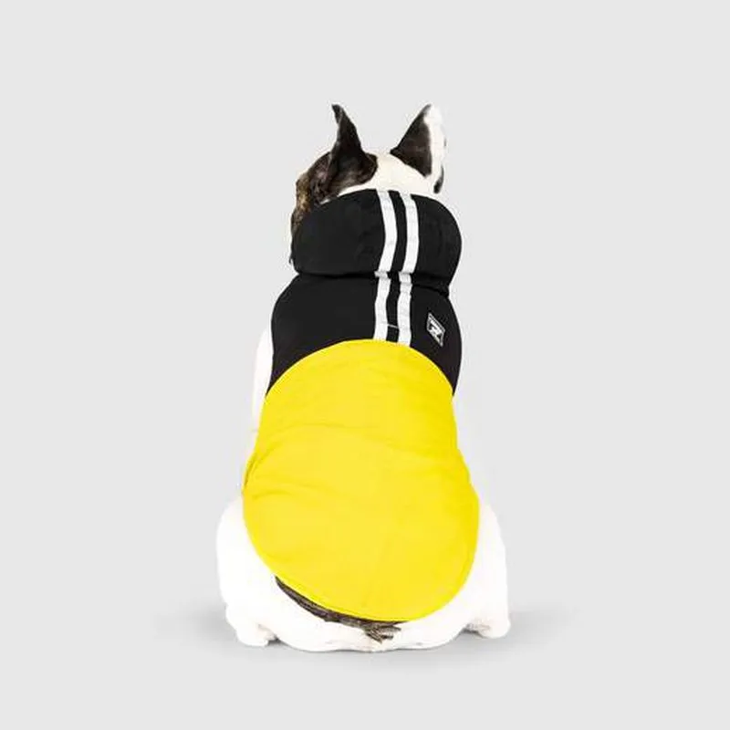 Canada Pooch Pack It Jacket Black/Yellow