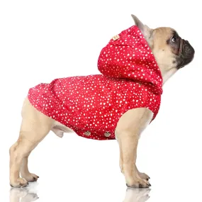 colette heart raincoat (frenchie sizes)