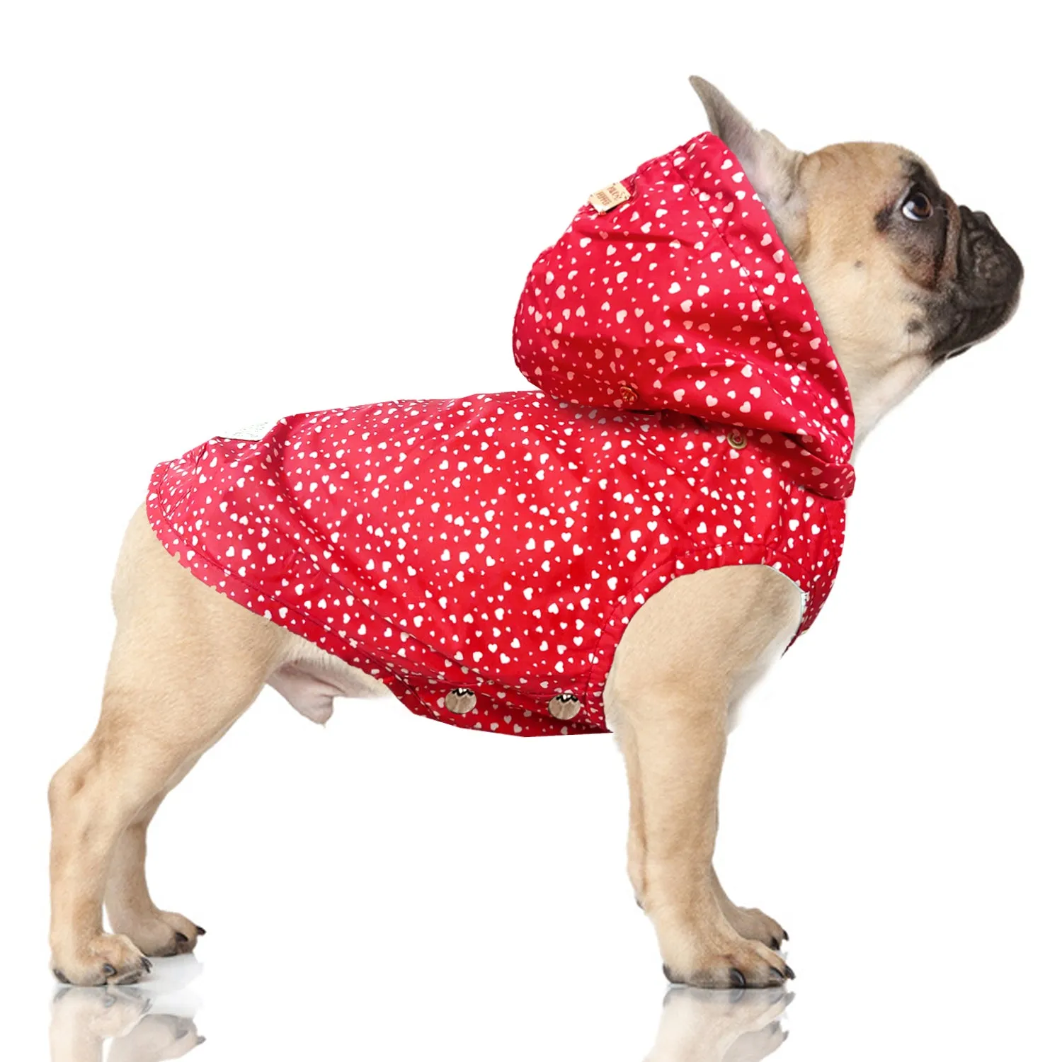 colette heart raincoat (frenchie sizes)