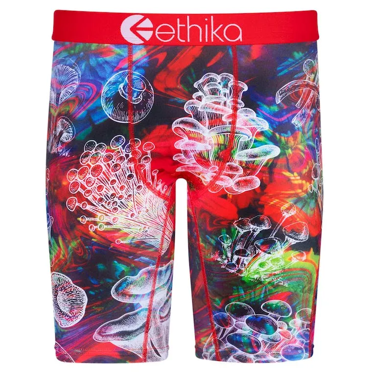 Ethika Men's Lost Time Graphic Boxer Briefs