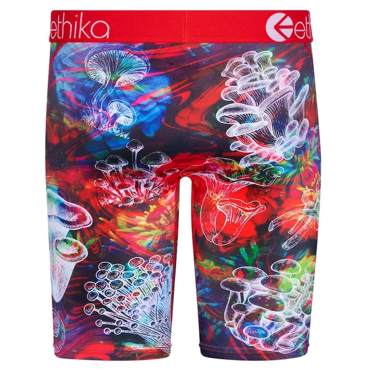 Ethika Men's Lost Time Graphic Boxer Briefs