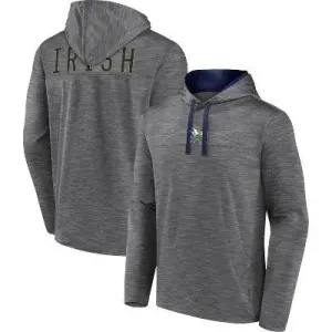 NCAA Notre Dame Fighting Irish Men's Back Logo Heathered Gray Hoodie - S