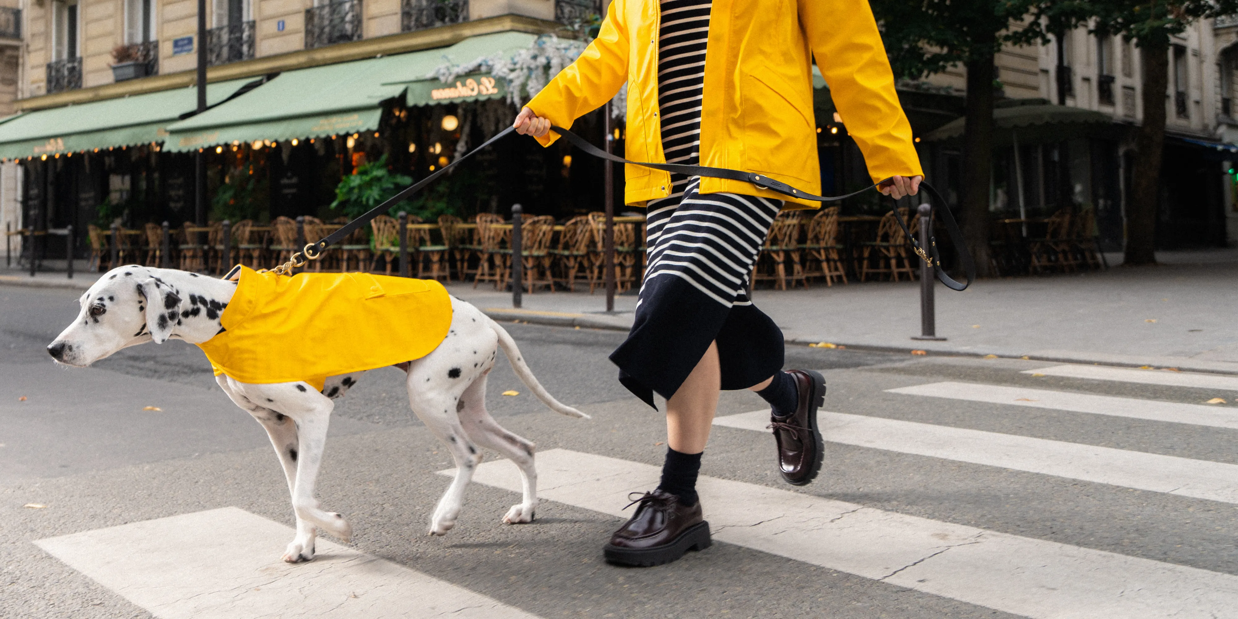 PARISIAN PUP RAINCOAT - Authentic Waterproof Raincoat for Dogs (YELLOW)