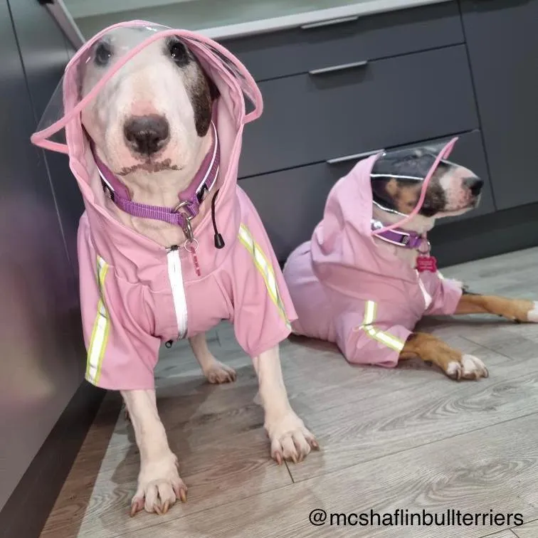 Reflective Dog Raincoat