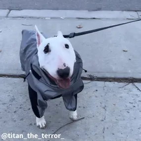 Waterproof Reflective Dog Overalls