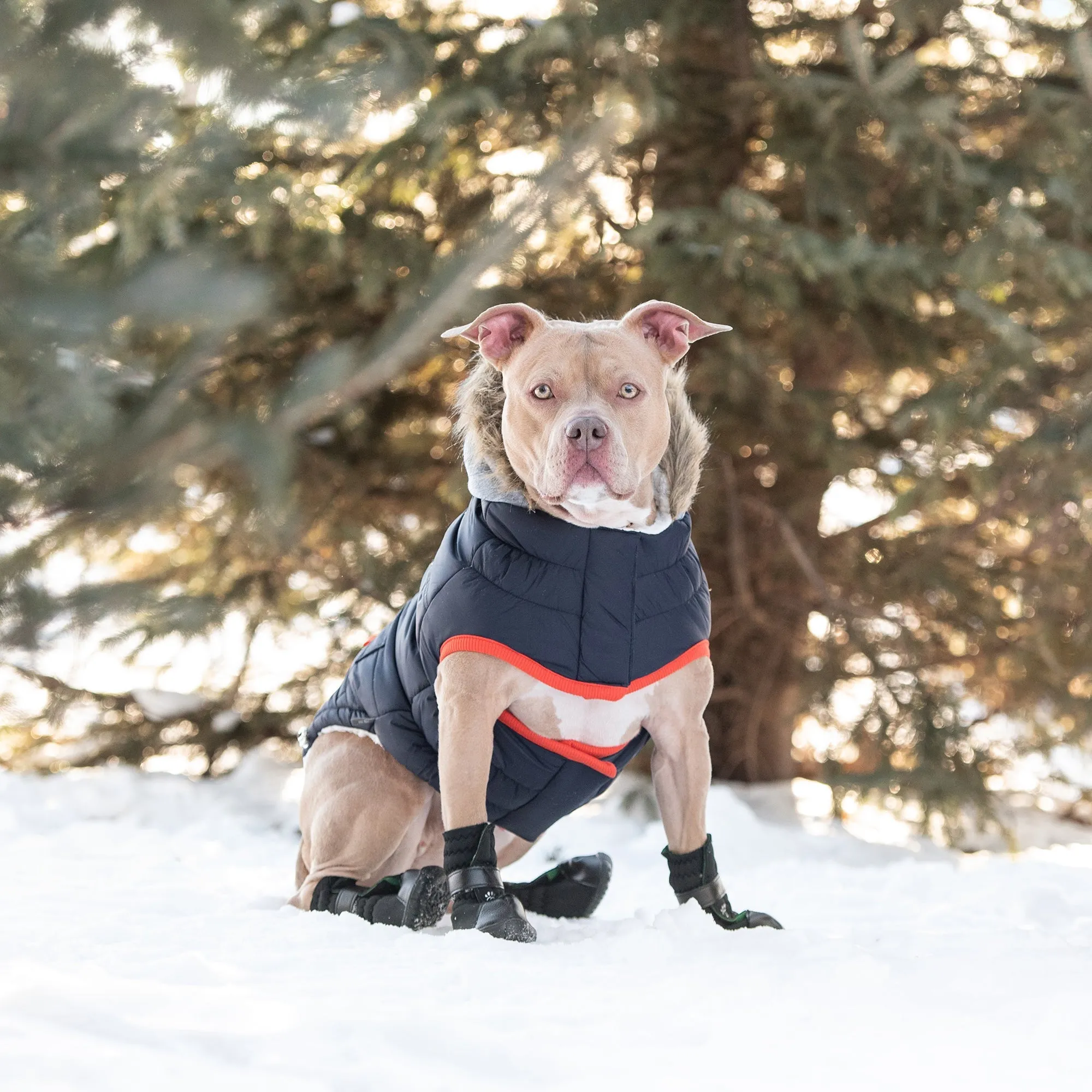 Winter Sailor Parka - Navy